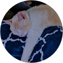 GOLDBOSS profile picture